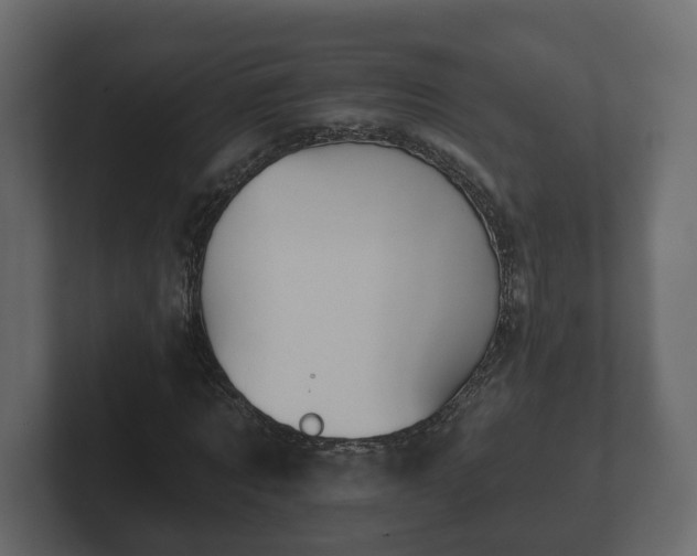 X0000102790869200808251026