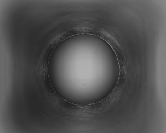 X0000102790870200808251026