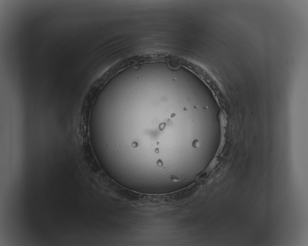 X0000102790871200808251026