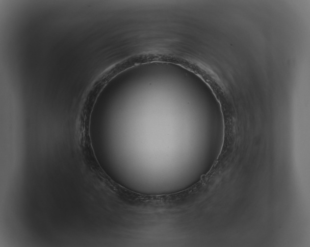 X0000102790872200808251026