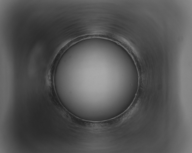 X0000102790875200808251026