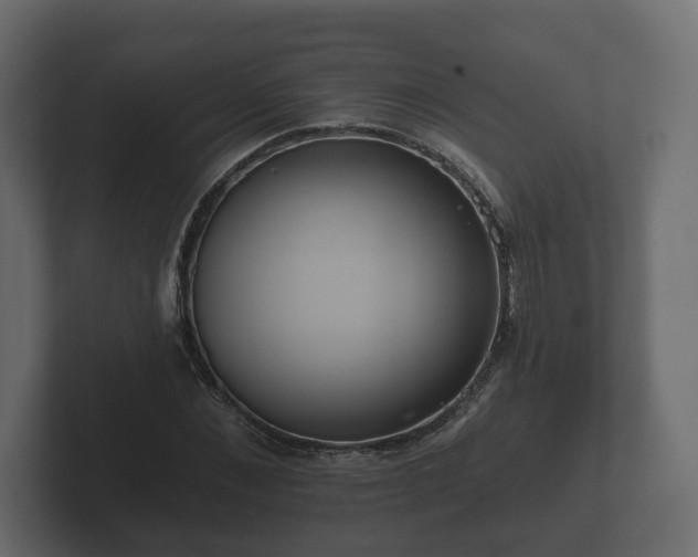 X0000102790876200808251026