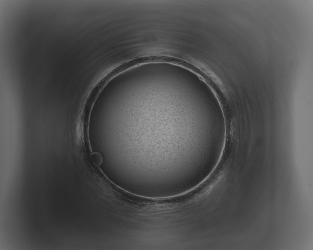 X0000102790877200808251026