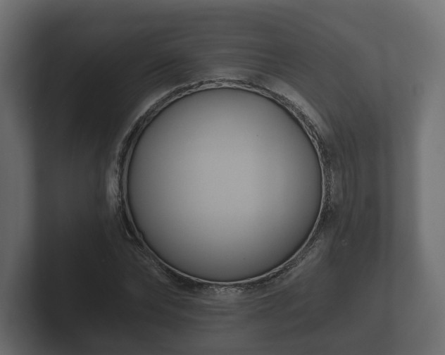 X0000102790878200808251026