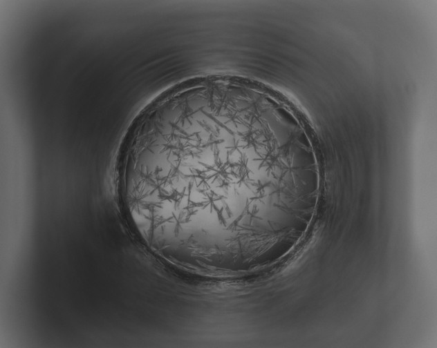 X0000102790879200808251026