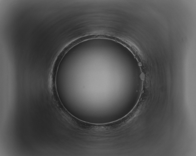 X0000102790880200808251026