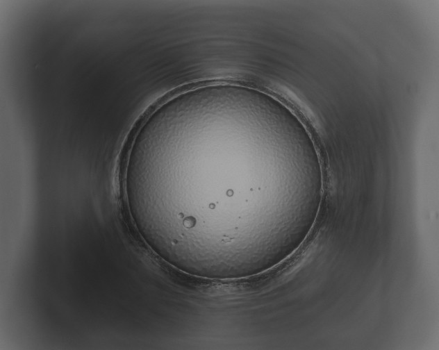 X0000102790883200808251026