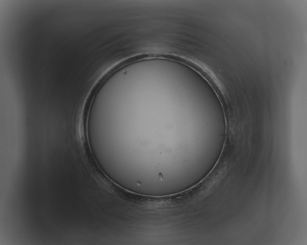 X0000102790887200808251026