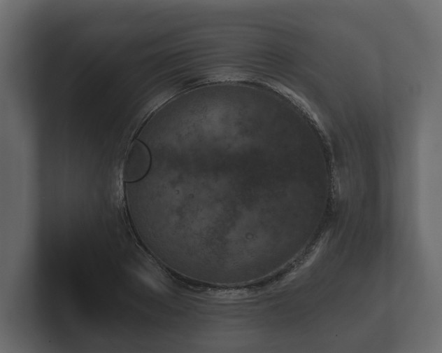 X0000102790889200808251026