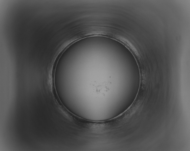 X0000102790890200808251026