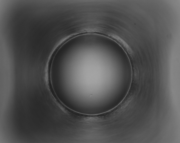 X0000102790894200808251026