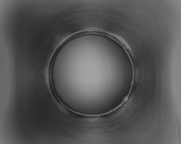 X0000102790895200808251026