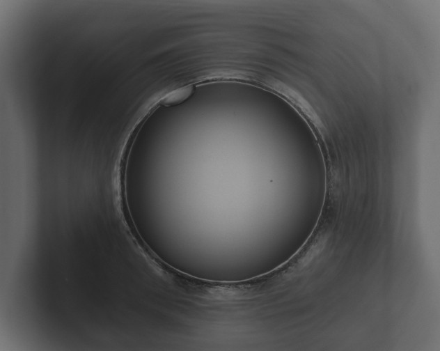 X0000102790898200808251026