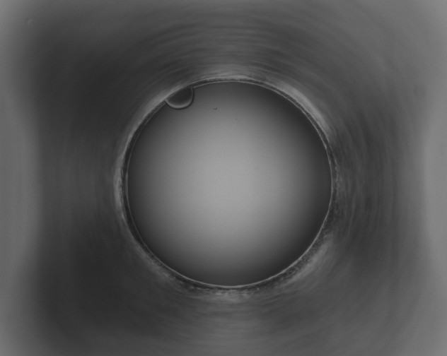 X0000102790901200808251026