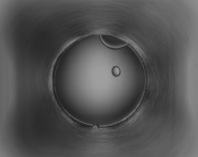 X0000102790902200808251026