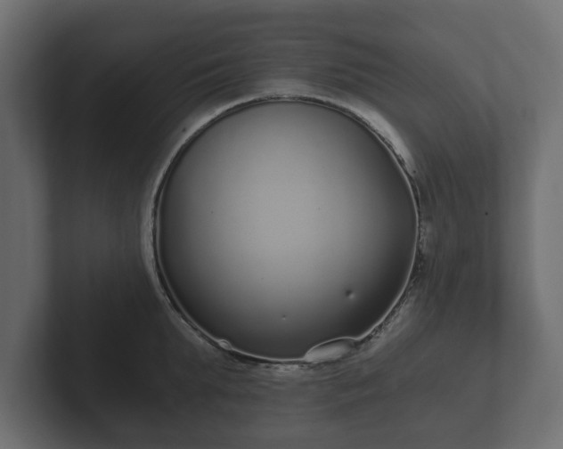 X0000102790903200808251026