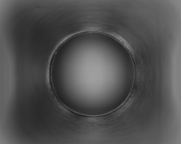 X0000102790904200808251026
