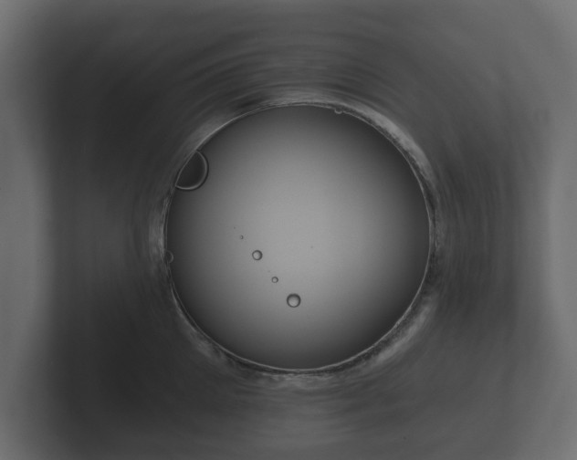 X0000102790905200808251026