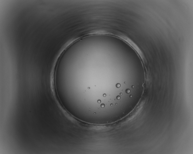 X0000102790909200808251026