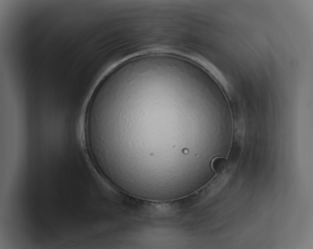 X0000102790911200808251026