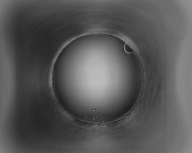 X0000102790912200808251026