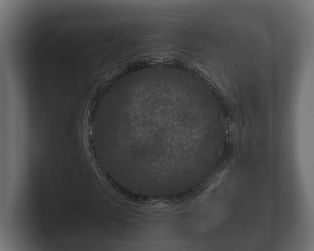X0000102790913200808251025