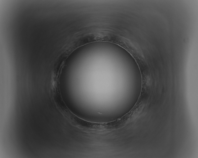 X0000102790914200808251025