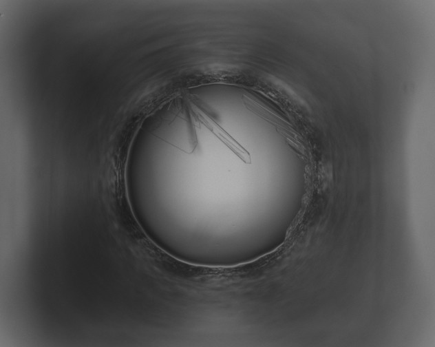 X0000102790917200808251025