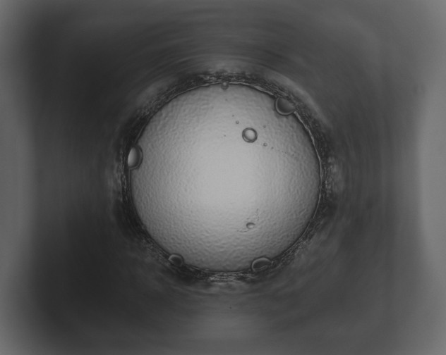 X0000102790918200808251025