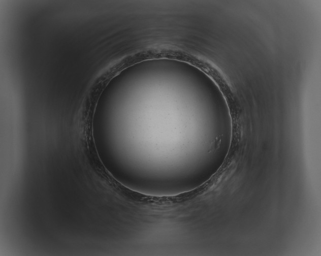 X0000102790919200808251025