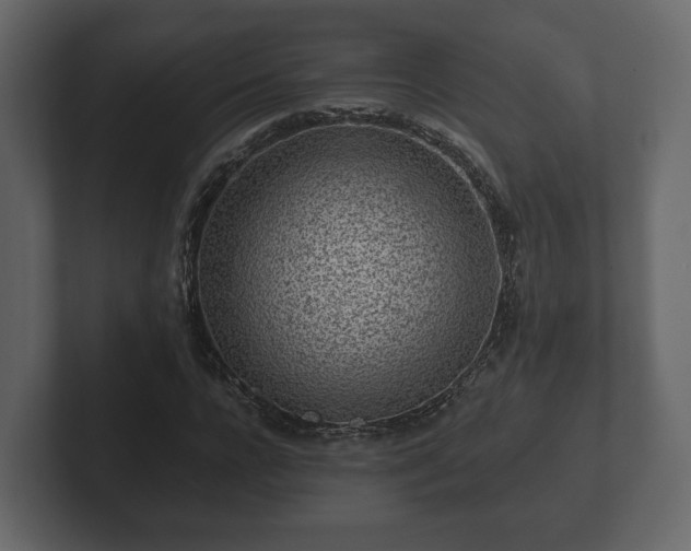 X0000102790920200808251025