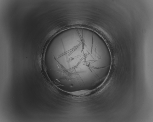 X0000102790921200808251025