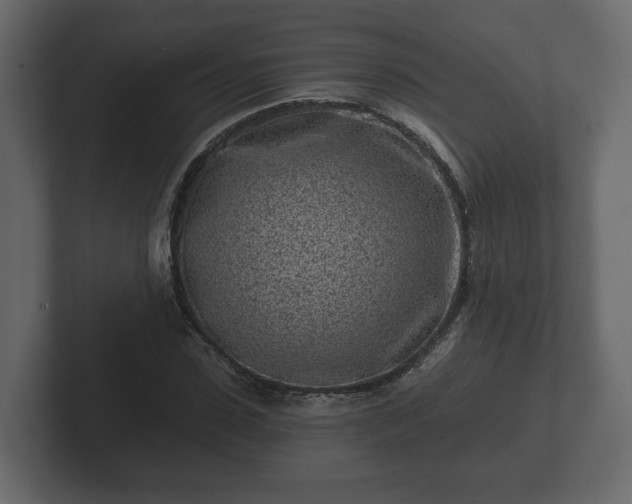 X0000102790923200808251025