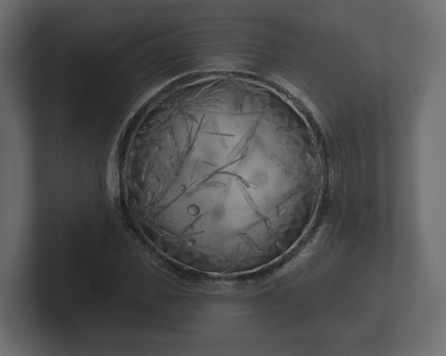 X0000102790925200808251025