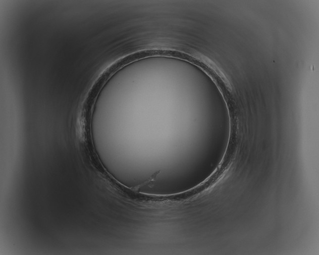 X0000102790926200808251025