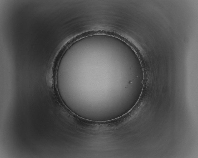 X0000102790927200808251025