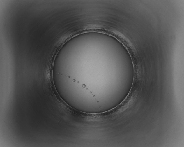 X0000102790929200808251025