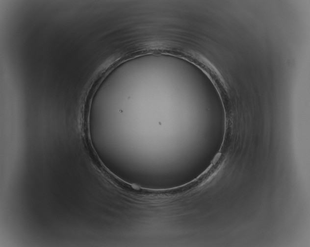 X0000102790930200808251025