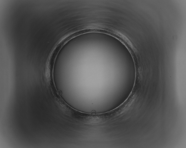 X0000102790931200808251025