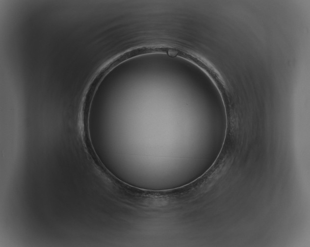 X0000102790935200808251025