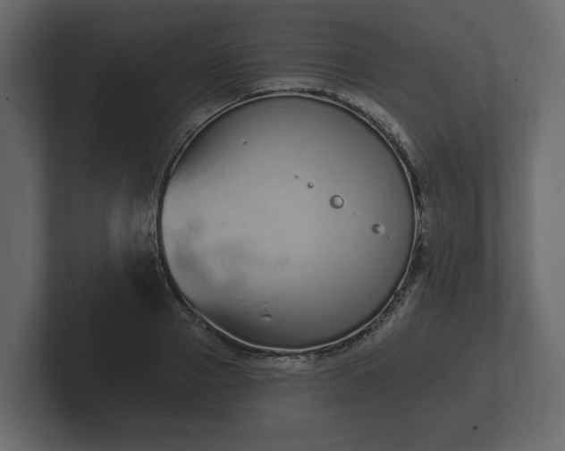 X0000102790937200808251025