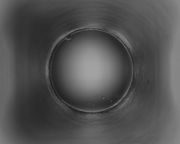 X0000102790944200808251026