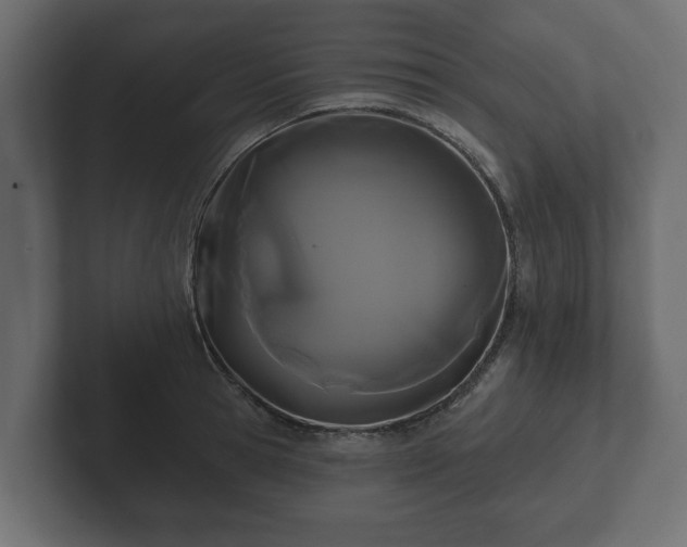 X0000102790945200808251026