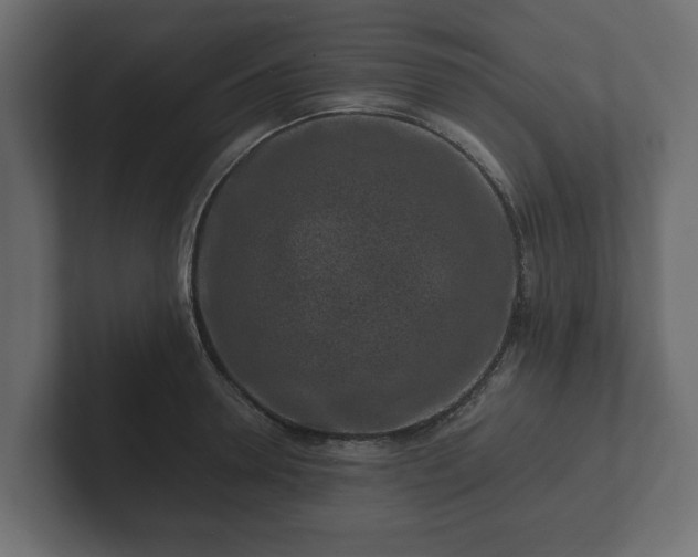 X0000102790946200808251026