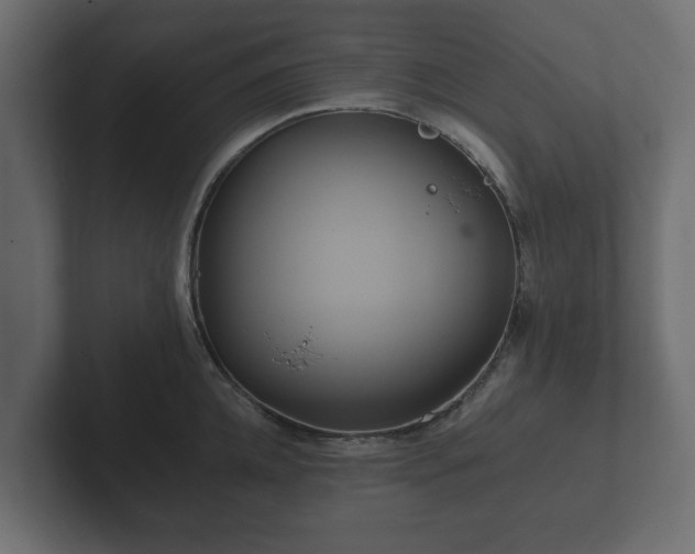 X0000102790952200808251026