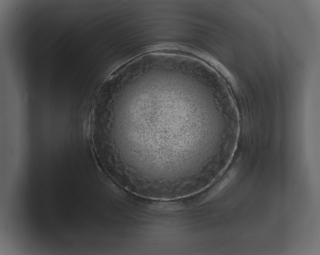 X0000102790953200808251026