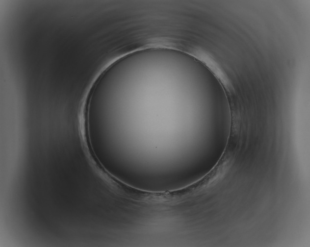 X0000102790955200808251026