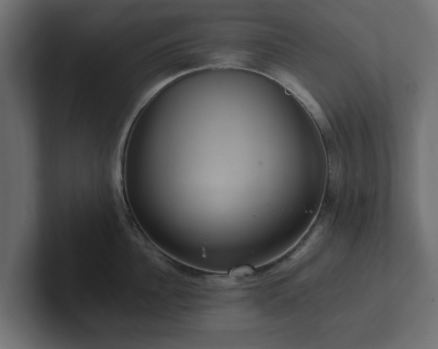 X0000102790956200808251026