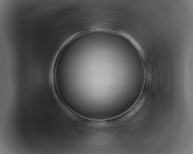 X0000102790957200808251026