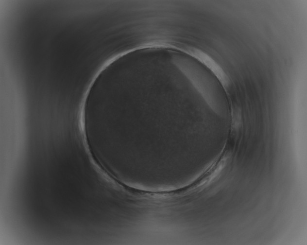 X0000102790958200808251026